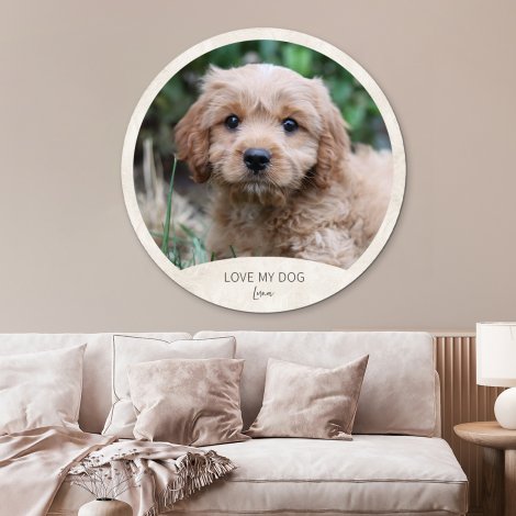 Hond B